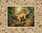 Monkey Safari Art Print by Unknown