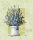 Lavendar Art Print by Unknown
