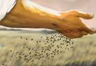 Seed Sower Art Print by Unknown
