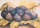 Figs Art Print by Unknown