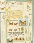 Butterfly Collage Botanical Print
