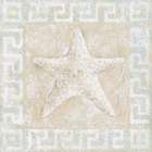 Starfish Art Print