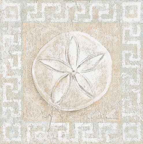 Sand Dollar Decorative Print