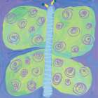 Butterfly Art Print by Unknown