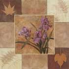 Lavendar Iris Art Print by Unknown