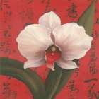 Chinese Orchid on Red Art Print by Unknown