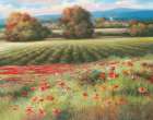 Pields of Provence II Art Print by Unknown