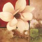 Magnolia Collage Art Print by Unknown