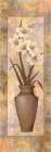 Potted Lily Art Print by Unknown