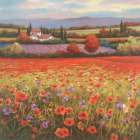 Poppy Pastures I Art Print by Unknown