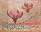Red Magnolia Art Print by Unknown