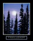 Challenge - Moonrise Art Print