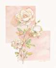 Rose Pastel Collage I Art Print by Unknown