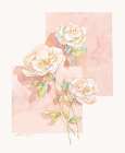 Rose Pastel Collage II Art Print by Unknown