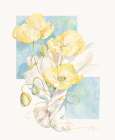 Poppies Yellow Pastel II Art Print by Unknown