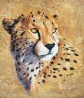 Jaguar Art Print by Unknown