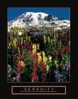 Mount Rainier Art Print