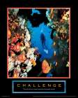 Challenge - Diver Art Print by Unknown