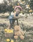 Girl Picking Apples Art Print by Unknown
