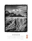 Honor Art Print by Unknown