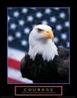 Courage - Eagle and Flag Art Print by Unknown