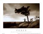 Zen - Peace Art Print by Unknown