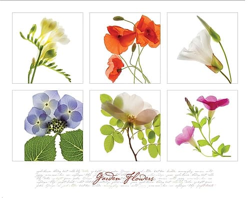 Garden Flowers I Art Print