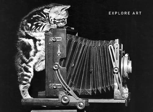 Cat and Camera Art Print by Frontline