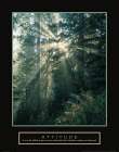 Attitude - Forest Art Print