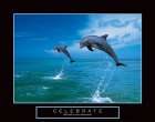 Celebrate - Dolphins Art Print by Unknown