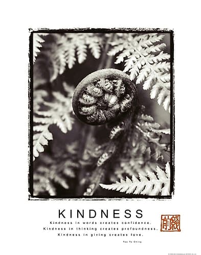 Kindness - Fiddlehead Art Print