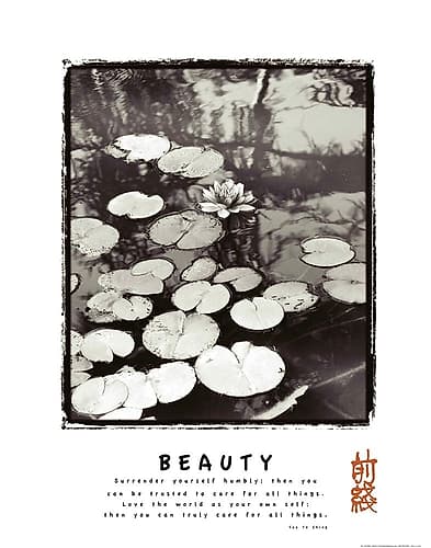 Beauty - Lillypad Art Print