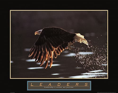 Leaders - Eagle Art Print by Frontline