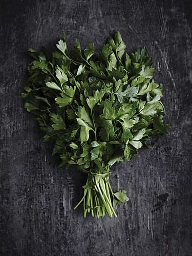 Food 6 Art Print