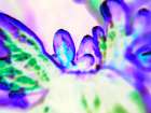 Biologic II Art Print