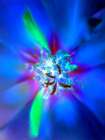 Nexus I Art Print