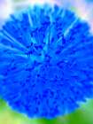 Blue Ball I Art Print