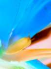 Blue Leaves II Art Print