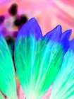 Green Leaves II Art Print