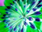 Bright Cluster III Art Print