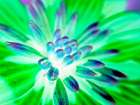 Bright Cluster IV Art Print