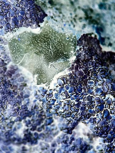 Texture Group I Art Print by Grayscale