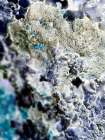 Texture Group II Art Print