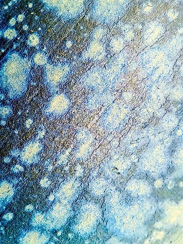 Oxidized Stone Art Print by Grayscale