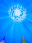 Natural Reactor II Art Print
