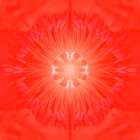 Flower Medallion III Art Print