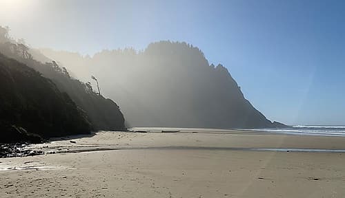 Foggy Beach I Art Print by Grayscale