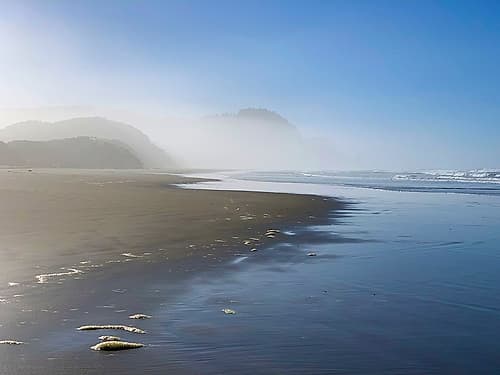Foggy Beach II Art Print by Grayscale