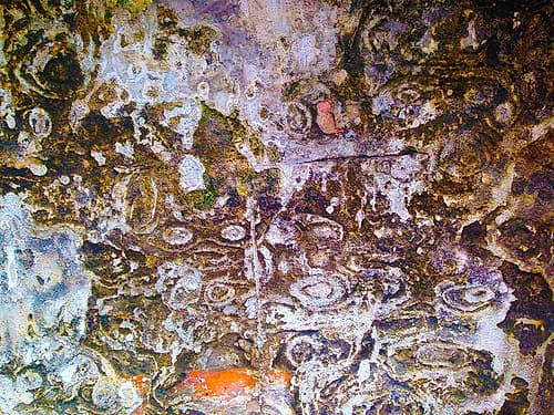 Eroded Stucco I Art Print by Grayscale