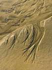 Wet Sand III Art Print